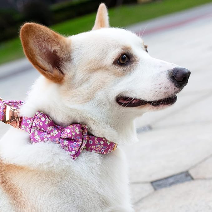 Dog Collar and Leash Set Girls Adjustable Puppy Collars with Floral Bow Tie for Small Medium Large Female Dogs, Purple, L