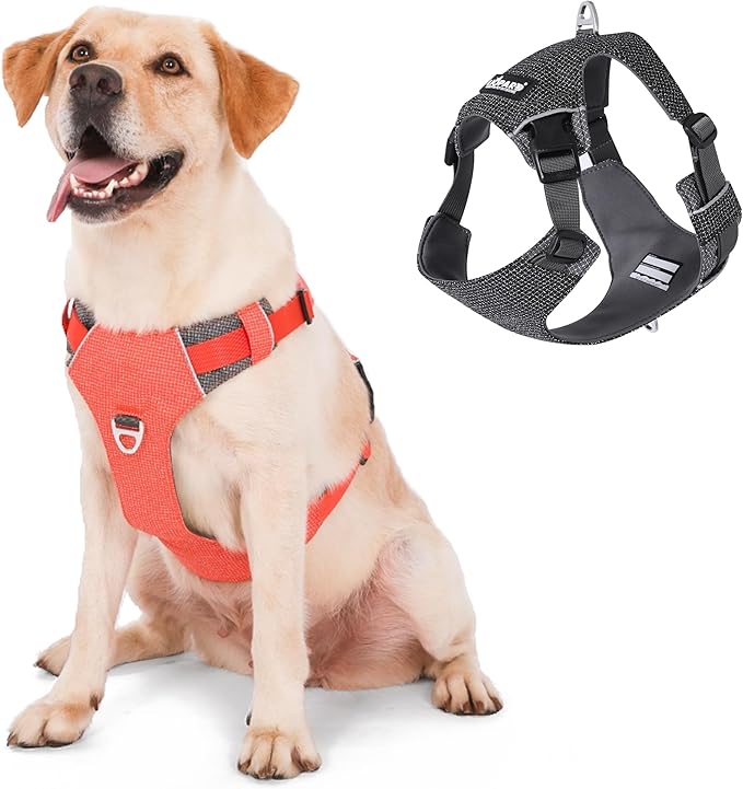 Dog Harness, Easy Walk Pet Harness No Pull with 2 Leash Clips, Reflective Running Soft Padded Adjustable Puppy Vest, Heavy Duty Seatbelt Harness for Car for Small Dogs (Orange, L)