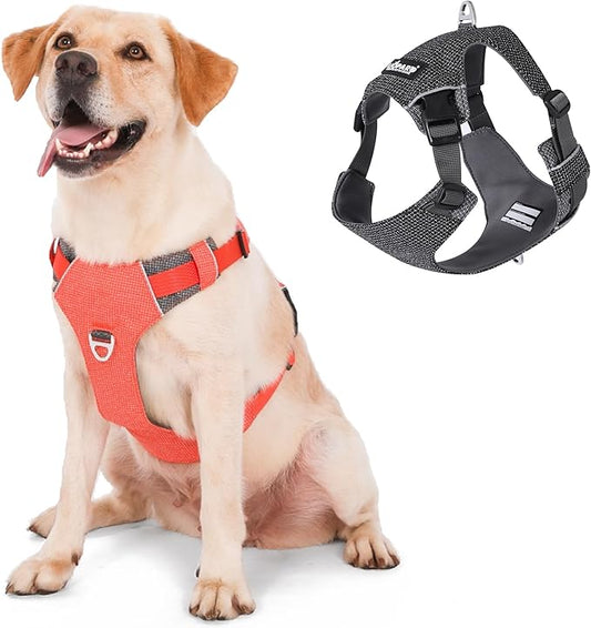 Dog Harness, Easy Walk Pet Harness No Pull with 2 Leash Clips, Reflective Running Soft Padded Adjustable Puppy Vest, Heavy Duty Seatbelt Harness for Car for Small Dogs (Orange, L)