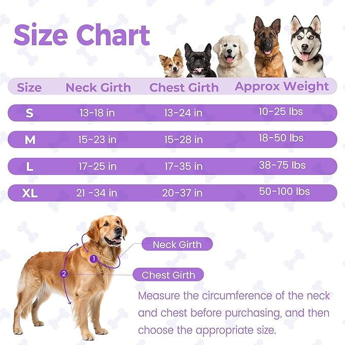 Funfox Dog Harness No Pull, Adjustable Pet Vest Harness Purple L with Handle, 2 Leash Clips for Daily Walking Easy Control, Soft Durable Reflective Comfortable for Large Breed Dogs