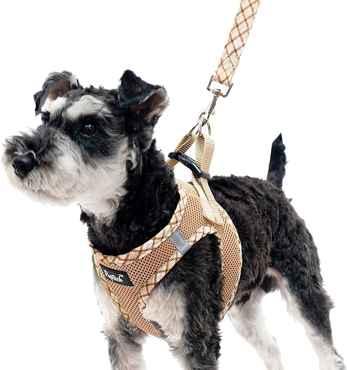 PUPTECK Dog Harness and Leash Set for Small Medium Dogs No Pull Step-in Soft Mesh Puppy Cat Vest Harnesses Reflective at Night, Beige XS