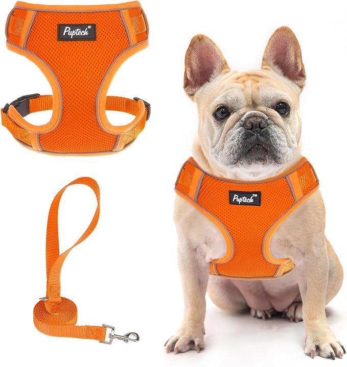PUPTECK Dog Harness and Leash Set for Small Medium Dogs No Pull, Soft Mesh Adjustable Puppy Cat Harness Reflective at Night, Orange S
