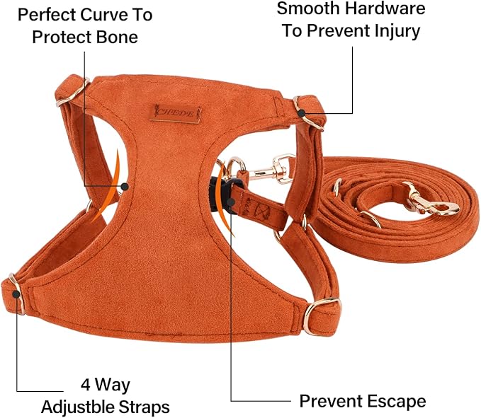 CHEDE No Pull Puppy Harness and Multifunction Dog Leash Set- 8 Colors Soft Adjustable No Choke Escape Proof Cute,Lightweight Pet Vest Harness for Small and Medium Dog (S, Khaki)