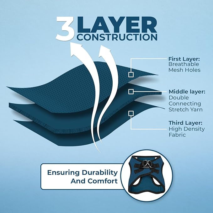 Voyager Step-in Air All Weather Mesh Harness and Reflective Dog 5 ft Leash Combo with Neoprene Handle, for Small, Medium and Large Breed Puppies by Best Pet Supplies - Blue/Black Trim, Medium