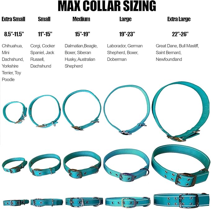 Max and Neo MAX Reflective Metal Buckle Dog Collar - We Donate a Collar to a Dog Rescue for Every Collar Sold (Medium, Orange)