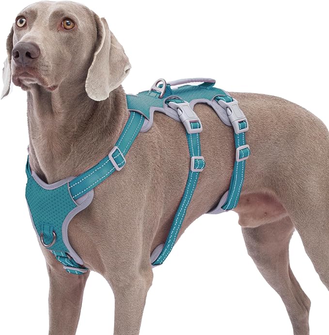 Escape Proof Dog Harness, No Pull Reflective Harness with Lift Handle, Adjustable Pet Vest with Front and Back Leash Clips for Small Medium Large Dogs Walking Hiking Training (Teal,XL)