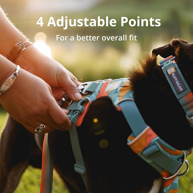 Ruffwear, Front Range Dog Harness, Reflective Soft Padded Everyday Harness with Dual Leash Clips, Adjustable and Lightweight Fit for Training or Walking for All Dogs, River Rock Green, Large/X-Large