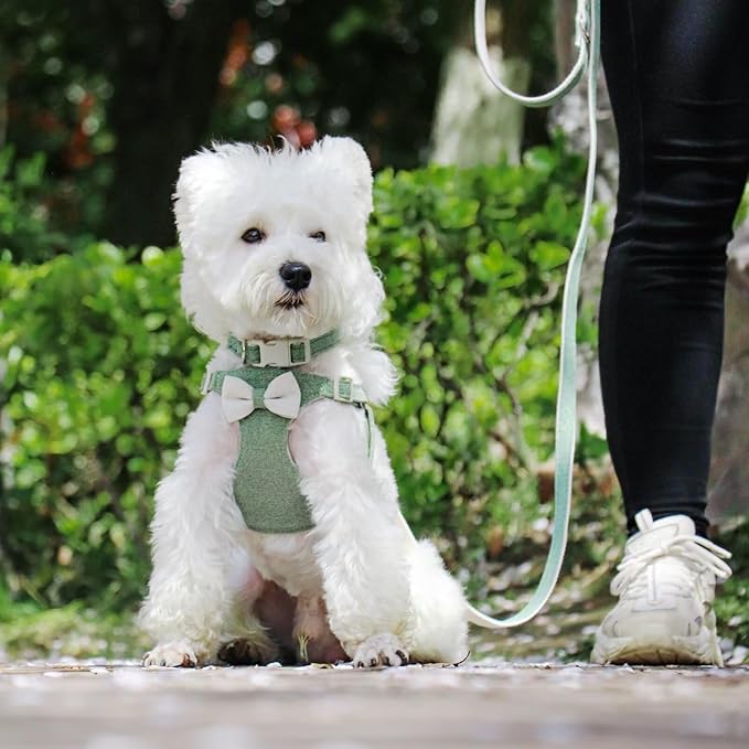 Didog Small Dog Harness Collar and Leash Set, Adjustable Lightweight Vest Harness with Cotton Soft Mesh for Small Dogs, Cats (Green, S)