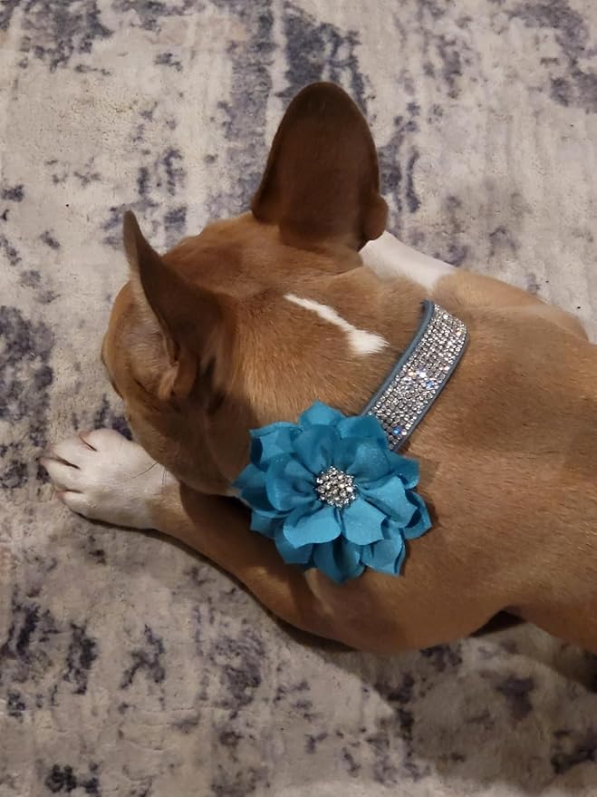 Rhinestone Dog Collar, Cute Dazzling Sparkling Soft Suede Leather Dog Cat Rhinestone Collar Crystal Diamond Pet Dog Puppy Collar (Blue5, L)