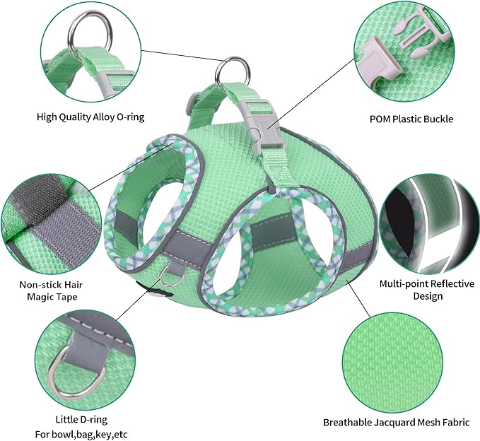 AIITLE Dog Harness and Leash Set - Ultra-Comfortable XXS-XL Vest with Strong Velcro & Glow-in-Dark Reflective Strips, Chafe-Free for Teddy, Schnauzer (Sage, M)