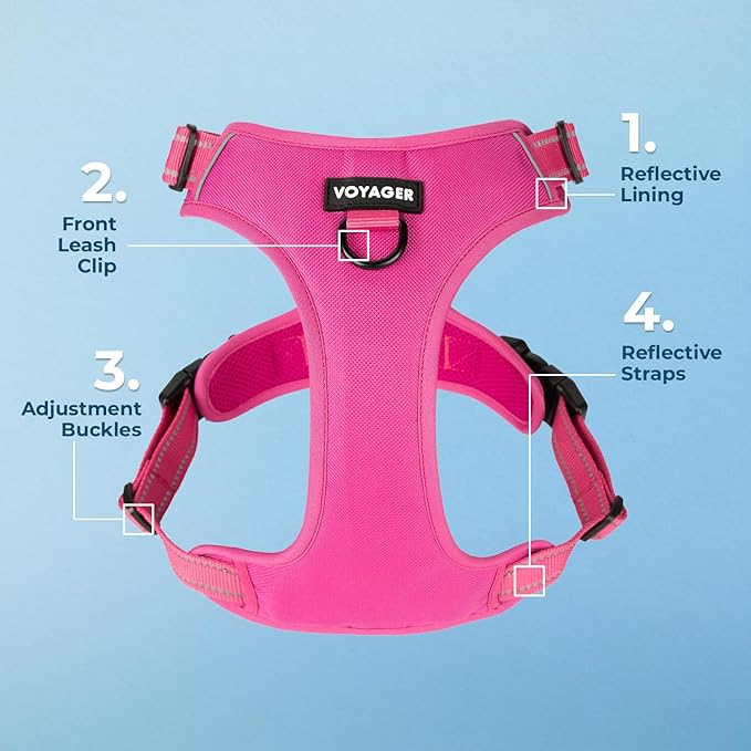 No Pull Dog Harness for Large Dogs, Dual Leash Attachments, Adjustable Soft but Strong Pet Harness with 3M Reflective Technology, Fuchsia Nylon, XL (Chest: 28-37")