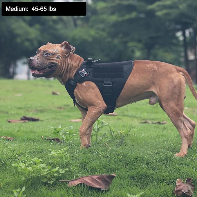ICEFANG Tactical Dog Harness,Medium Size, 2X Metal Buckle,Working Dog MOLLE Vest with Handle,No Pulling Front Leash Clip,Hook and Loop Panel