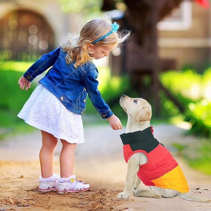 Idepet Pet Dog Cat Coat with Leash Anchor Color Patchwork Padded Puppy Vest Jacket Teddy Chihuahua Costumes Pug Cloth XS S M L (X-Small (Pack of 1), Yellow)