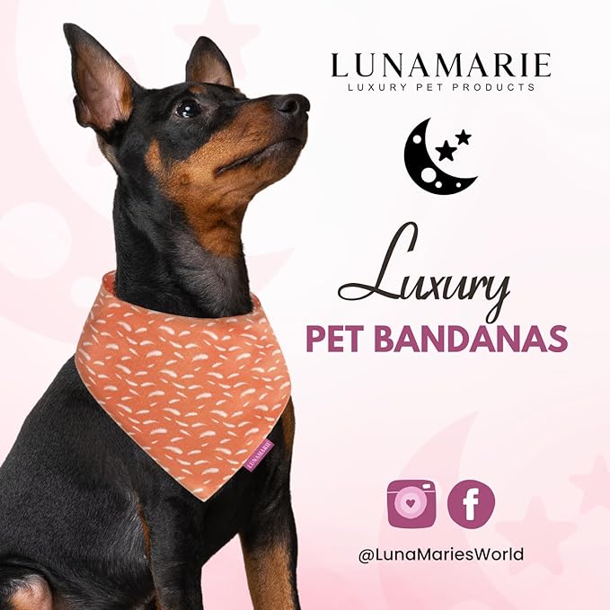 Luxury Pet Birthday Bandanas -Premium & Silky Poly Fabric | 100% Handmade | Custom Shape Dual Layered (Orange Feathers, Medium)