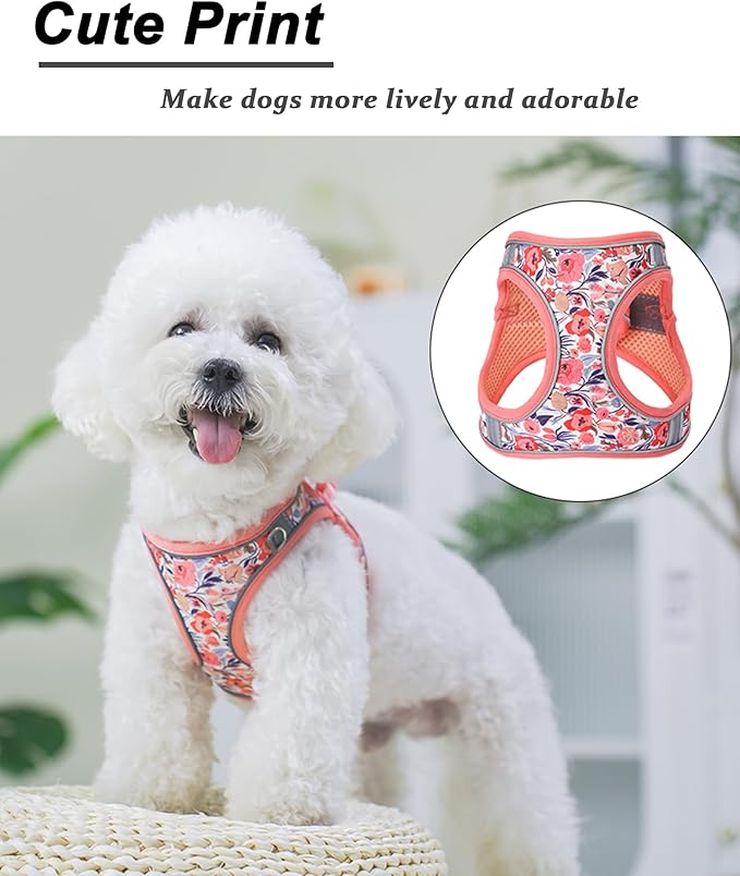XS Peach Flower Pattern Dog Harness and Leash Set,No Escape Puppy Harnesses for Training Walking，Breathable Adjustable Puppy Vest for Small Medium Dogs, Cats (Peach, XS)