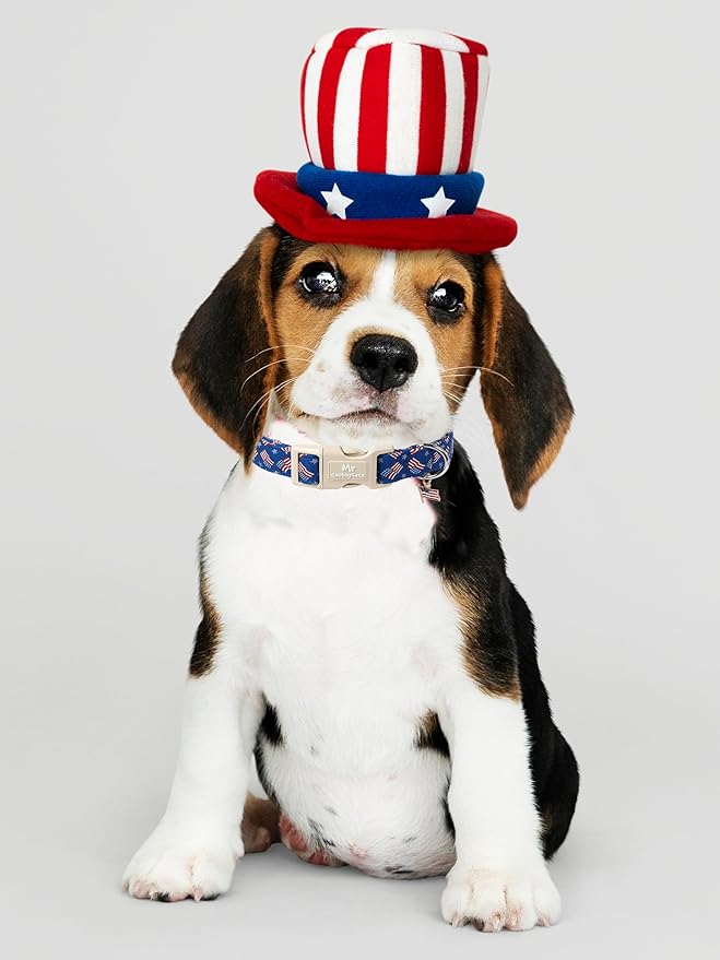 American Flag Dog Collar, 4th of July Puppy Collar with Plastic Buckle, Patriotic Puppy Collar for Small Medium Large Dogs