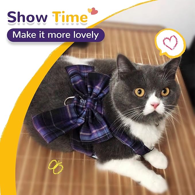 Small Dog Harness with D-Ring, Soft Mesh, Adjustable - Set Includes Harness and Leash