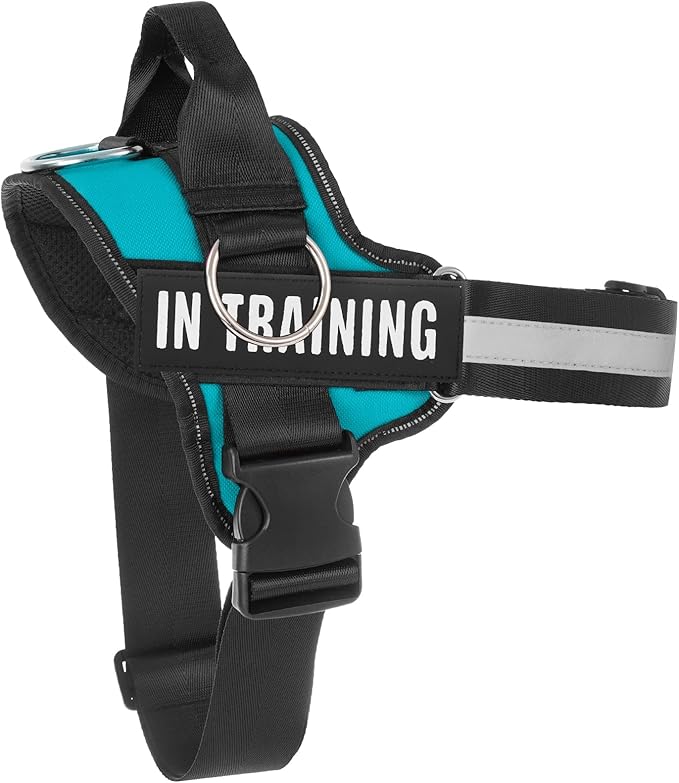 Essential Dog Harness, No Pull Pet Harness with 3 Side Rings for Leash Placement, No Choke, Reflective, Adjustable Pet Vest, Easy On-Off & Improved Control Handle, Training, Walking, Running