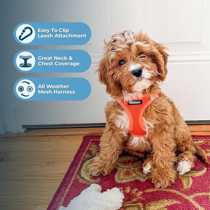 Voyager Step-in Air All Weather Mesh Harness and Reflective Dog 5 ft Leash Combo with Neoprene Handle, for Small, Medium and Large Breed Puppies by Best Pet Supplies - Set (Orange), XL