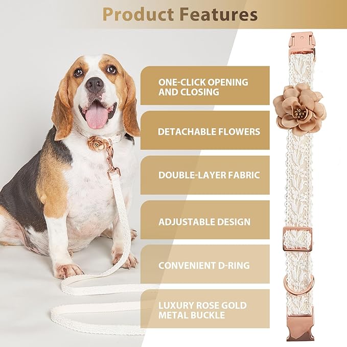 Fashion Flowers Embroidered Premium Lace Dog Collar Set with Metal Clasp Leash - Adjustable for Small, Medium, Large Dogs,M