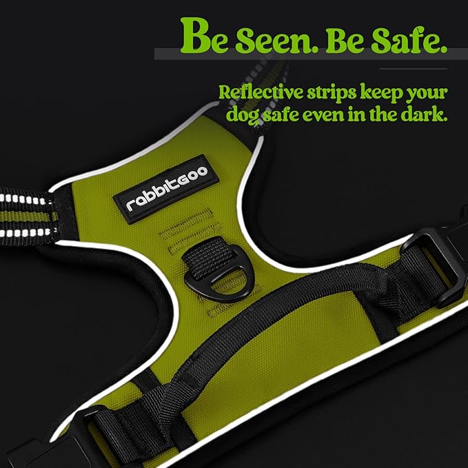 rabbitgoo Dog Harness No Pull with 2 Leash Clips, Adjustable Soft Padded, Reflective Oxford No Choke Pet Vest with Easy Control Handle for Small Dogs, Wild Lime,S