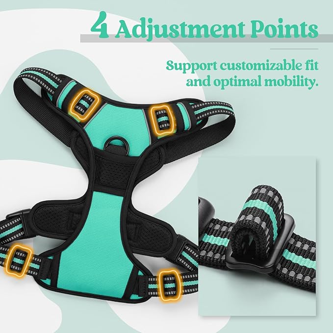 rabbitgoo Dog Harness No Pull with 2 Leash Clips, Adjustable Soft Padded, Reflective Oxford No Choke Pet Vest with Easy Control Handle for Large Dogs, Turquoise, L