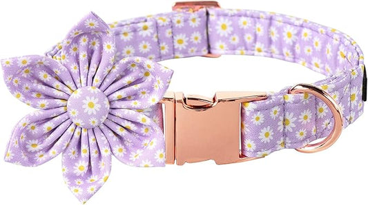 Lionet Paws Spring Female Dog Collar with Flower, Soft Comfortable Adjustable Daisy Collar for Dogs, Small, Neck 10-16 inches