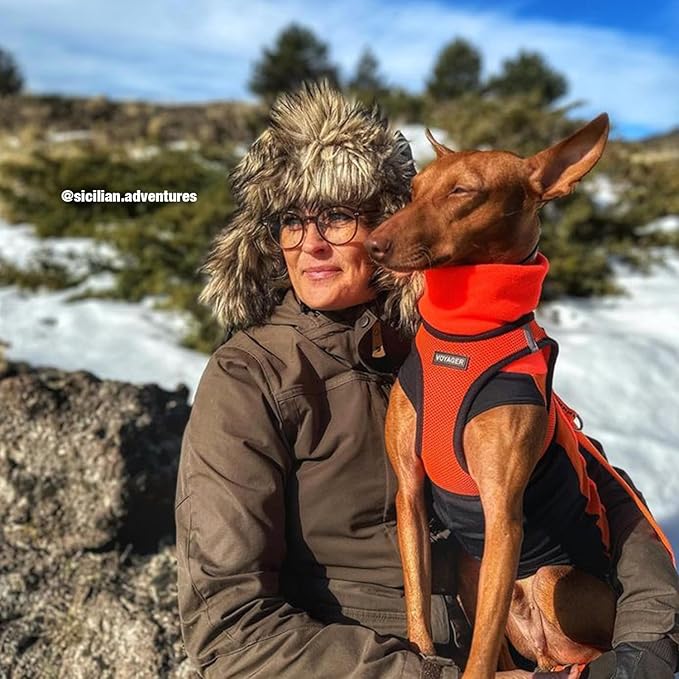 Voyager Step-in Air All Weather Mesh Harness and Reflective Dog 5 ft Leash Combo with Neoprene Handle, for Small, Medium and Large Breed Puppies by Best Pet Supplies - Orange/Black Trim, Small