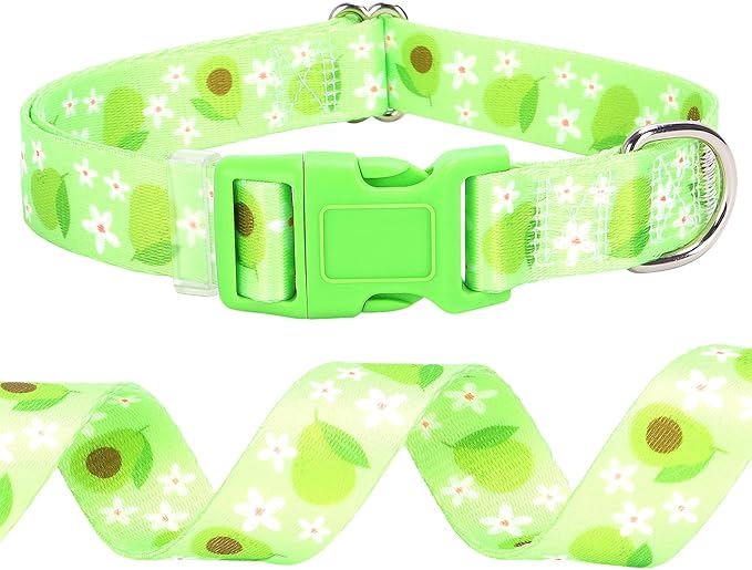 Dog Collar - Cute Green Avocado Design, Soft Nylon Adjustable Quick-Release Buckle, Durable Pet Collar for Boy and Girl Dogs (Large)