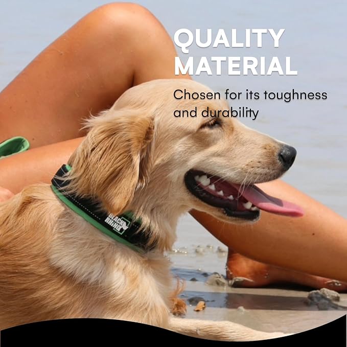 Black Rhino Dog Collar for Large Dogs - Adjustable Reflective Heavy Duty Dog Collars with Ultra-Soft Neoprene Padding - Weatherproof, Durable, and Comfortable for Active Dogs - Green and Black