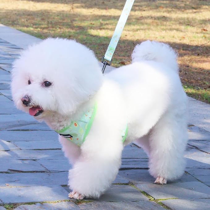 Dog Harness and Leash Set, Adjustable Dog Harness, Dog Leash, No Pull No Choke Puppy Harnesses for Walking Training for Small, Medium, Large Pet