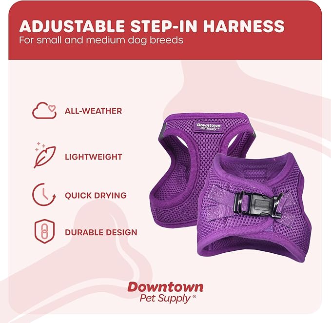 Downtown Pet Supply Step in Dog Harness for Small Dogs No Pull, Small, Purple - Adjustable Harness with Padded Mesh Fabric and Reflective Trim - Buckle Strap Harness for Dogs