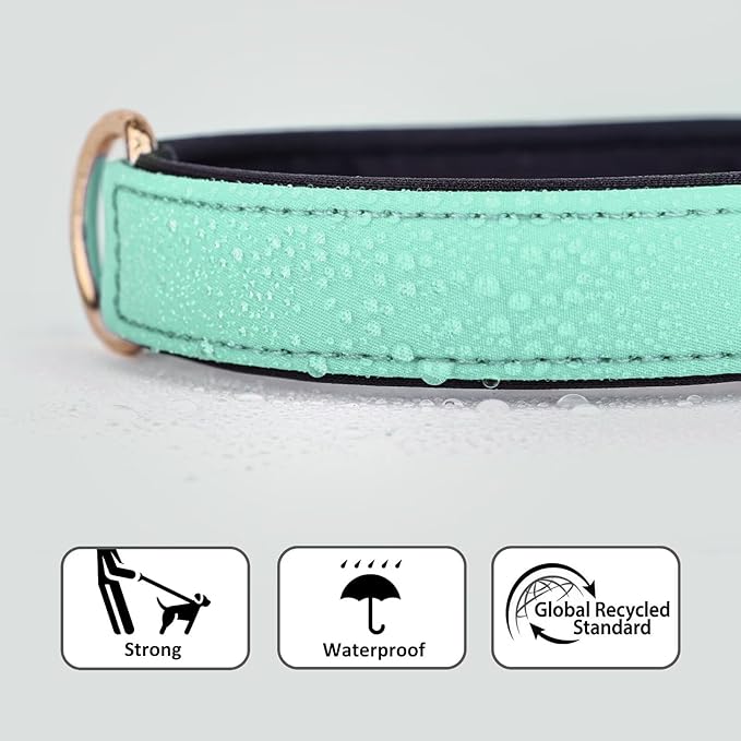 Didog Soft Padded Dog Collars for Medium Dogs, Lightweight and Breathable Dog Collar Waterproof with Metal Buckle, Green, L