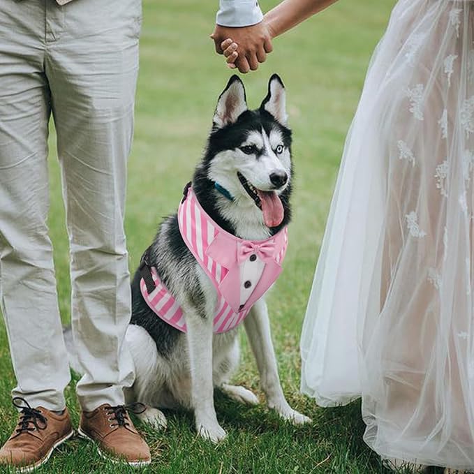 Kuoser Dog Tuxedo Harness, Adjustable Dog Harness No Pull for Small Medium Dogs, Dog Wedding Suit with Bow Tie Party Costume Pink M