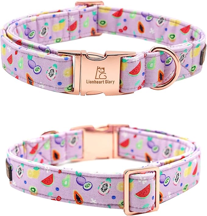 Lionheart glory Dog Collar, Fruit Dog Collar with Bow, Summer Dog Bowtie Collar Gift Bows Cute Pet Collar for X-Large Dogs
