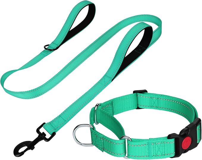 FunTags Reflective Martingale Collar for Dogs, Quick Release Buckle, 5FT Double Handle Dog Leash Padded, Dog Collar and Leash Set, Adjustable for Small Dogs (Turquoise, S)