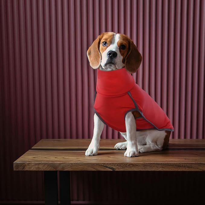 ROZKITCH Dog Winter Coat Soft Pullover Pajamas, Pet Windproof Warm Cold Weather Jacket Vest Cozy Onesie Jumpsuit Apparel Outfit Clothes for Small Medium Large Dogs Walking Sleep BrightRed M