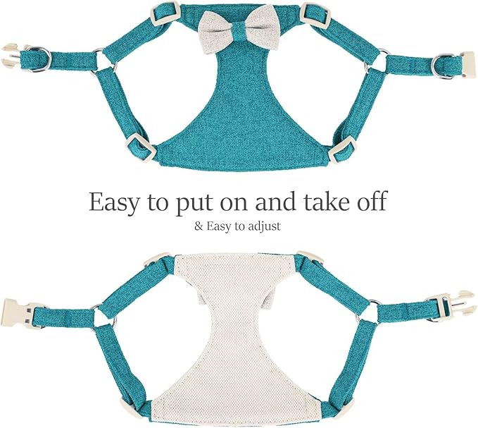 Didog Small Dog Harness Collar and Leash Set, Adjustable Lightweight Vest Harness with Cotton Soft Mesh for Small Dogs, Cats (Blue, XXS)