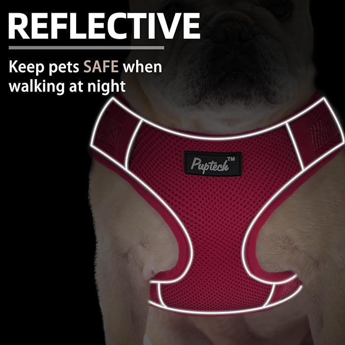 PUPTECK Dog Harness and Leash Set for Small Medium Dogs No Pull, Soft Mesh Adjustable Puppy Cat Harness Reflective at Night, Fuchsia S