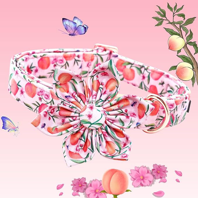 Lionheart Glory Pink Peach Dog Collar with Flower Bow for Small Dogs