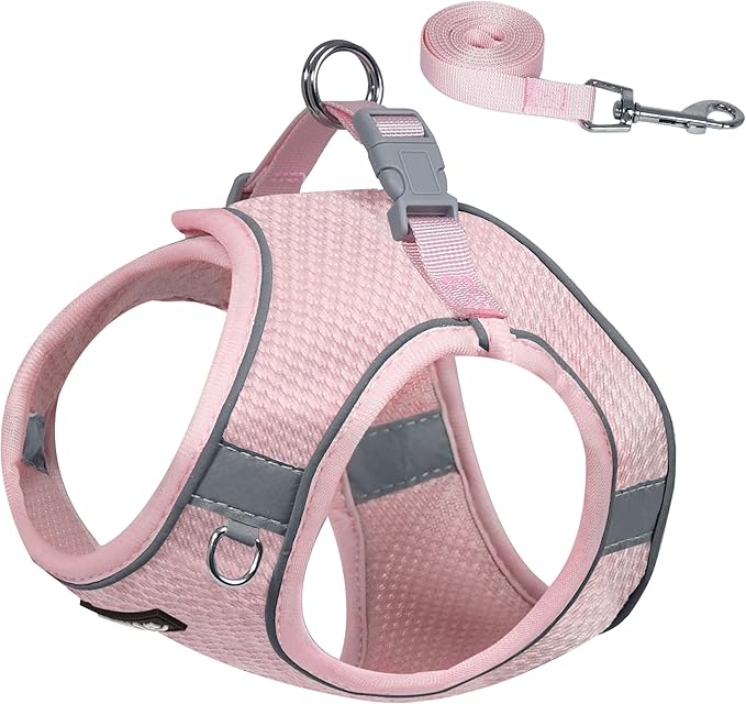 AIITLE Dog Harness for Medium Sized Dog, No-Pull Dog Vest with a Leash, Breathable Mesh, Reflective Stripes, Escape Proof Pet Outdoor Harnesses Puppy Essentials for Medium Dogs Pink M