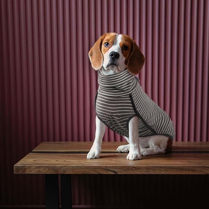 ROZKITCH Dog Winter Coat Soft Pullover Pajamas, Pet Windproof Warm Cold Weather Jacket Vest Cozy Jumpsuit Apparel Outfit Clothes for Small, Medium, Large Dogs Walking Hiking Travel Sleep Stripe 2XS