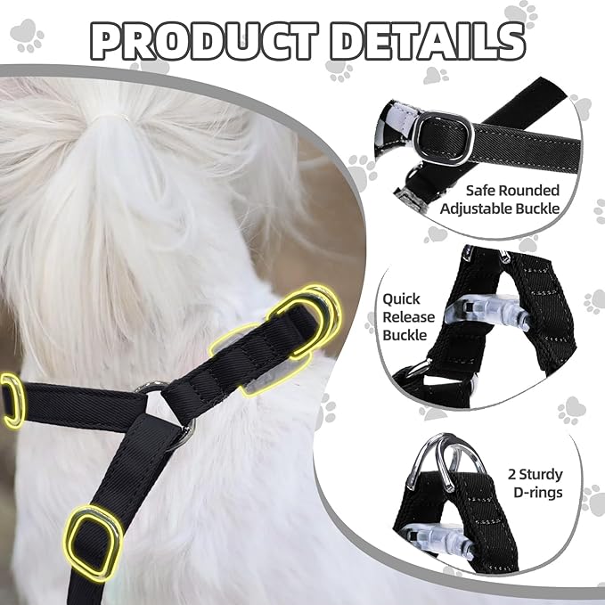PUPTECK Dog Harness and Leash Set Small Sized, Step-in Cute Puppy Harness, Soft Lightweight Padded Vest, Escape Proof No Pull Pet Harnesses Easy for Walking, Plaid Black & White, XXS
