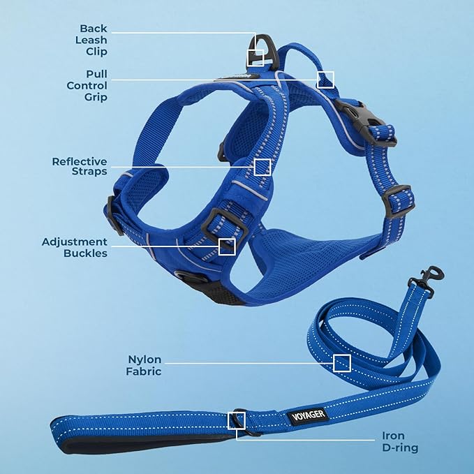 Dog Harness Dual Leash Attachment No-Pull Control Adjustable Soft but Strong Pet Harness for Medium and Large Dogs with 3M Reflective Technology - Harness Leash Set (Royal Blue Lattice), XL