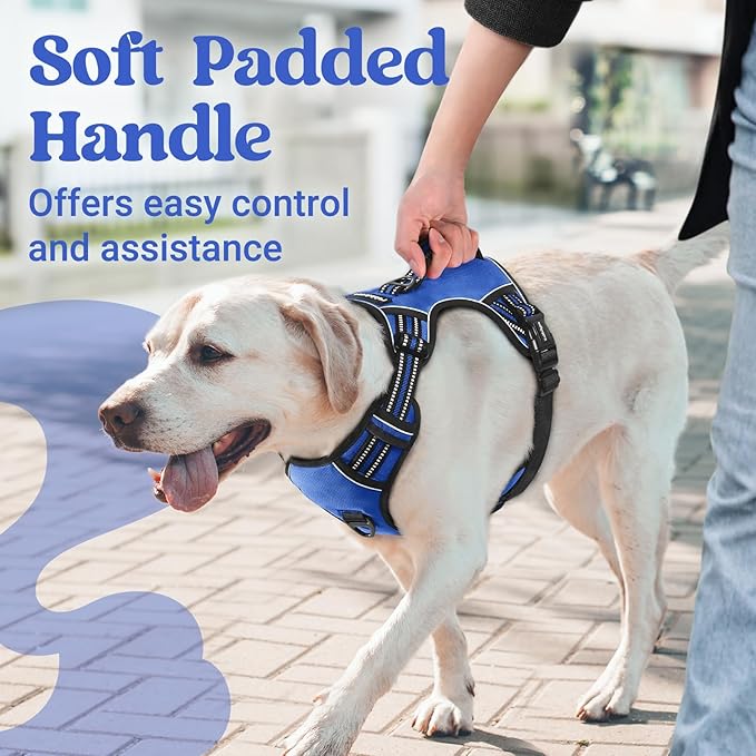 rabbitgoo Dog Harness for Large Dogs, No Pull Pet Harness with Soft Padded Handle, Adjustable Reflective Vest with 3 Buckles, Easy Walking Harness with 2 Leash Clips, Blue, M