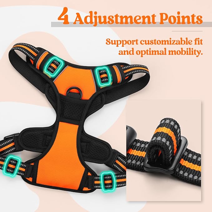 rabbitgoo Dog Harness No Pull with 2 Leash Clips, Adjustable Soft Padded, Reflective Oxford No Choke Pet Vest with Easy Control Handle for Small Dogs,Orange,S