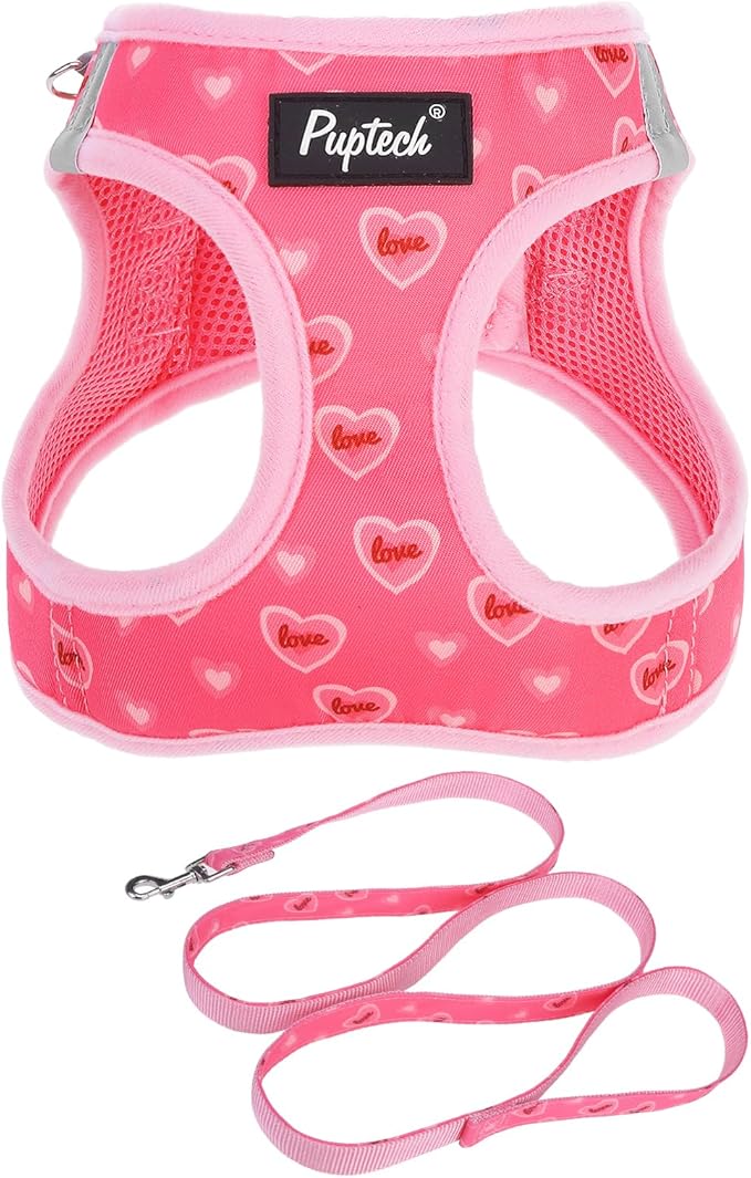 PUPTECK Dog Harness and Leash Set for Small Medium Dogs No Pull Step-in Soft Mesh Puppy Cat Vest Harnesses Reflective at Night Valentine, Light Pink, S
