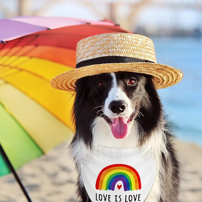 Whaline Rainbow Dog Bandanas Love is Love Pride Triangle Bibs Rainbow Dog Scarf Reversible Double-Sided Pet Neckerchief for Small Medium Large Pet Cat Dog Pride Day Costume Accessories, 4 Pack