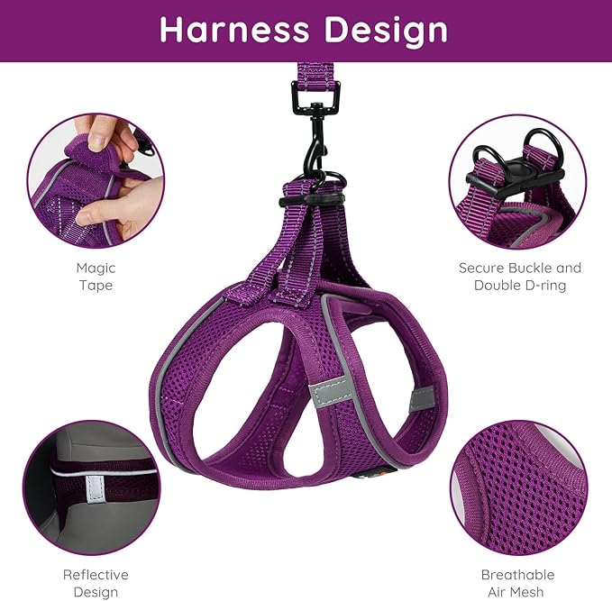 BELLA & PAL Puppy Harness With Leash Set, No Pull for Small Dogs, Step in Harness for Extra Small Dogs, Deep Purple, XXS