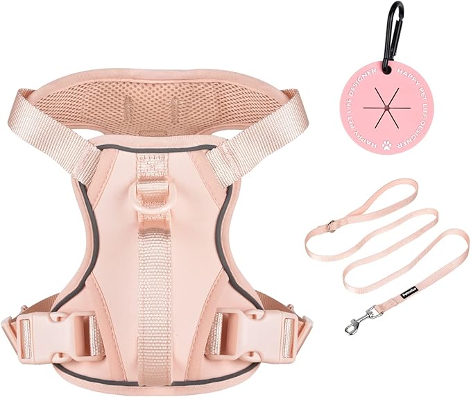 Petmolico Dog Harness for Small Dogs, Cute Harness Vest with Two Leash Clips and Soft Handle, Reflective Easy Walk Puppy Vest - Pink, Small